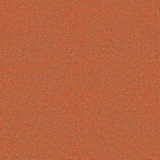 Camira Synegy LDS83.jpg